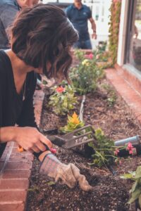 A person gardening in a raised bed.