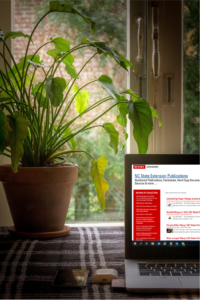 Image shows laptop near potted plant with NC State Publications Database on Screen