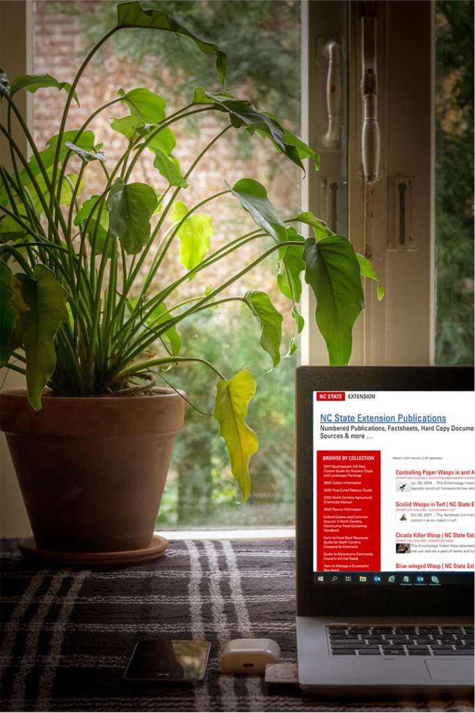 Image shows laptop near potted plant with NC State Publications Database on Screen 