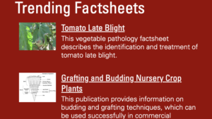 Screenshot of Trending Factsheets list including Tomato Late Blight and Grafting and Budding Nursery Crop Plants