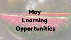 Field of blooming tulips with words "May Learning Opportunities"