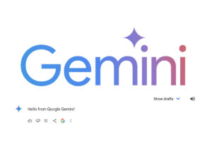 Welcome To Gemini!