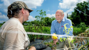 NC State Extension Director David Monks discusses tomatoes and crop production with a grower at NC State's Agroecology Education Farm, part of the university’s Lake Wheeler Road Field Lab.