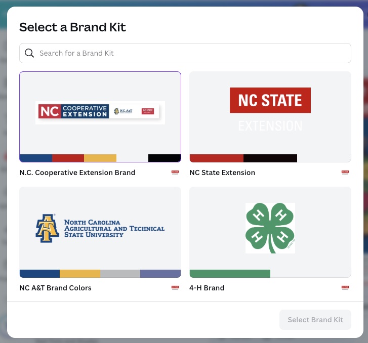 Screenshot of Brand Kit Selection screen in Canva