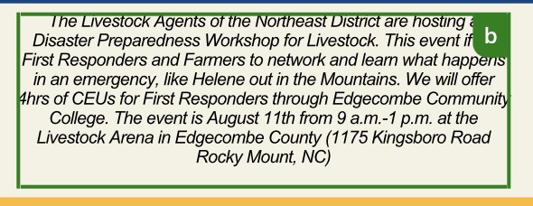 Screenshot of a block of text in a Canva design with a green border and a "B" icon, indicating that user is editing the text.