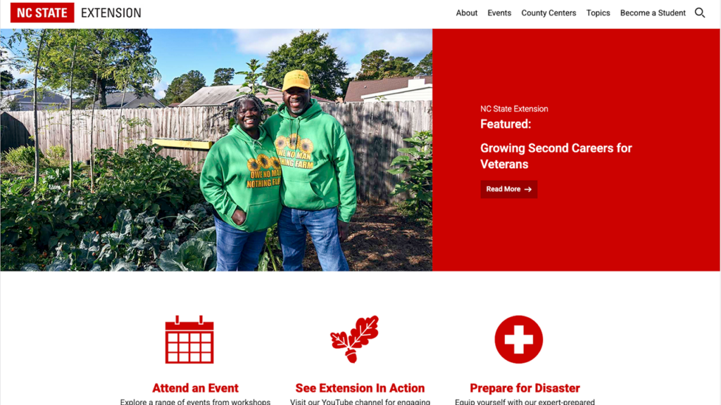 New Extension Website Screenshot