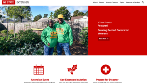 New Extension Website Screenshot